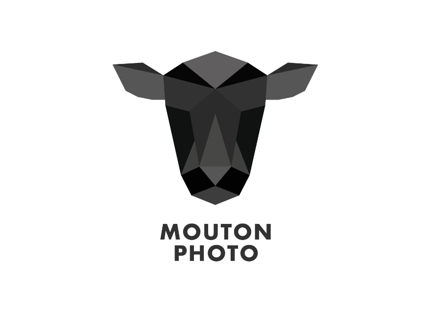 Mouton Photo